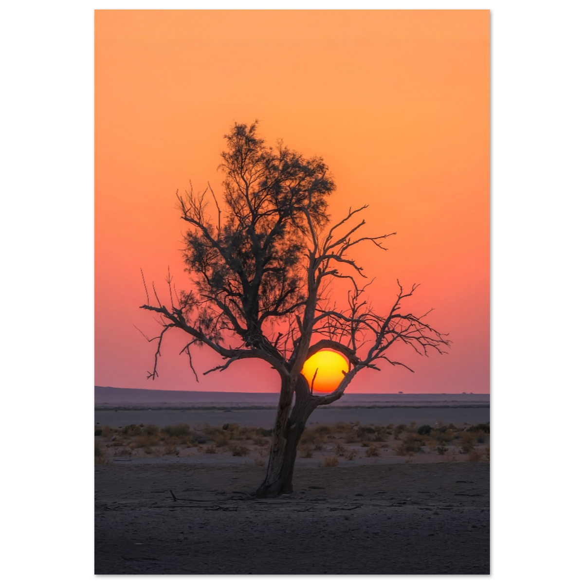 84358842-1f08-4619-a08f-c4eace25fd9b