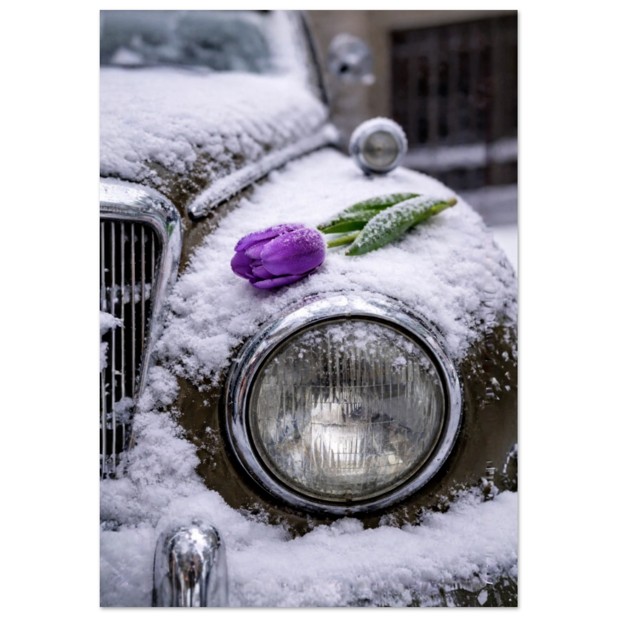 f2b892b4-d6f1-4399-9ff9-bbc4408b28ca