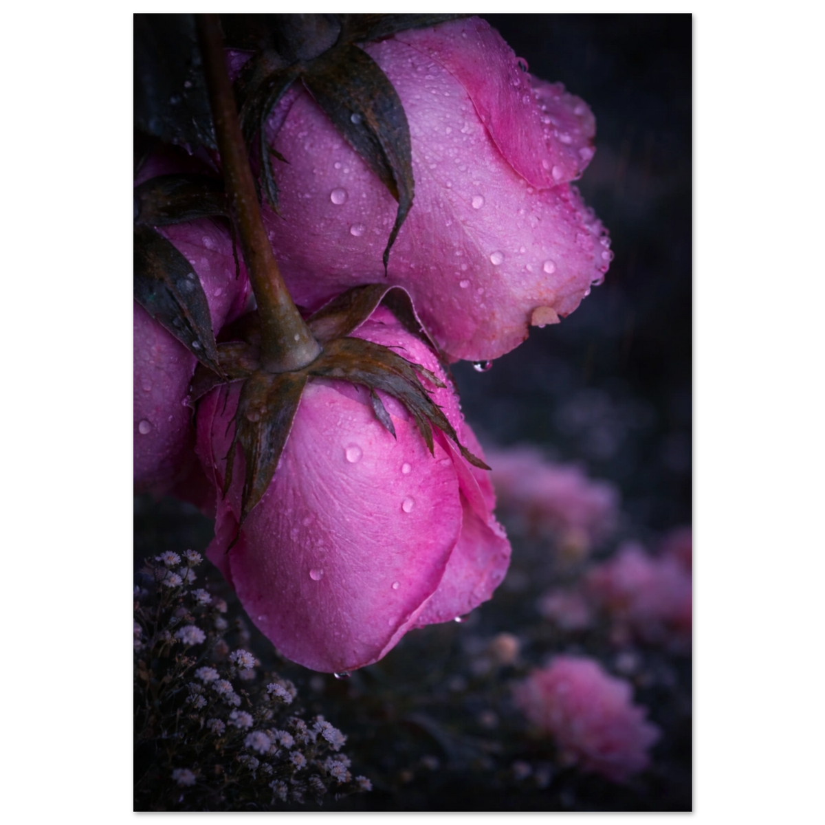 f40d51c9-937b-4ca3-9484-7bbdca16828c