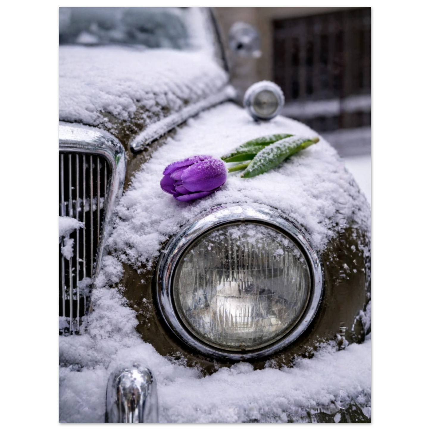 03073234-94da-4c4d-85e9-8f6a15c198ea