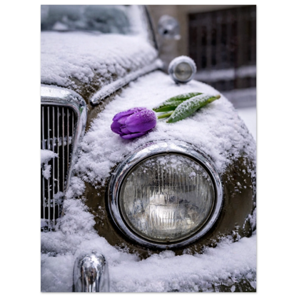 03073234-94da-4c4d-85e9-8f6a15c198ea