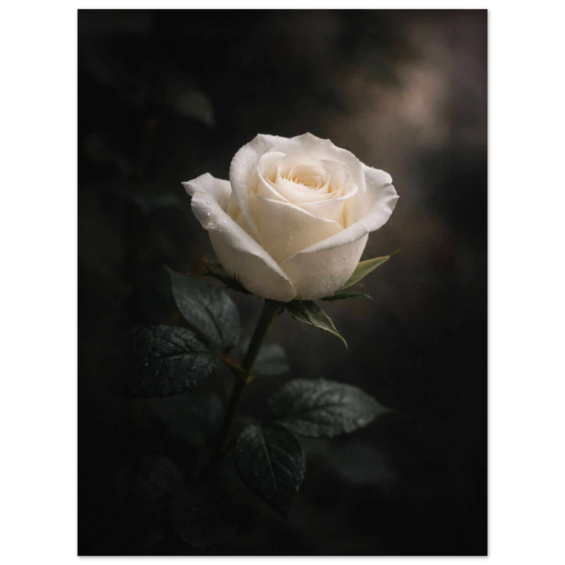 0a412f72-0758-4f91-afb3-6c631c647f19