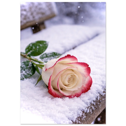 16f10890-d9d1-46f5-b2a1-7e7e8cf580dd