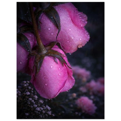 25741c25-5454-4682-9fd9-087cc9d74805