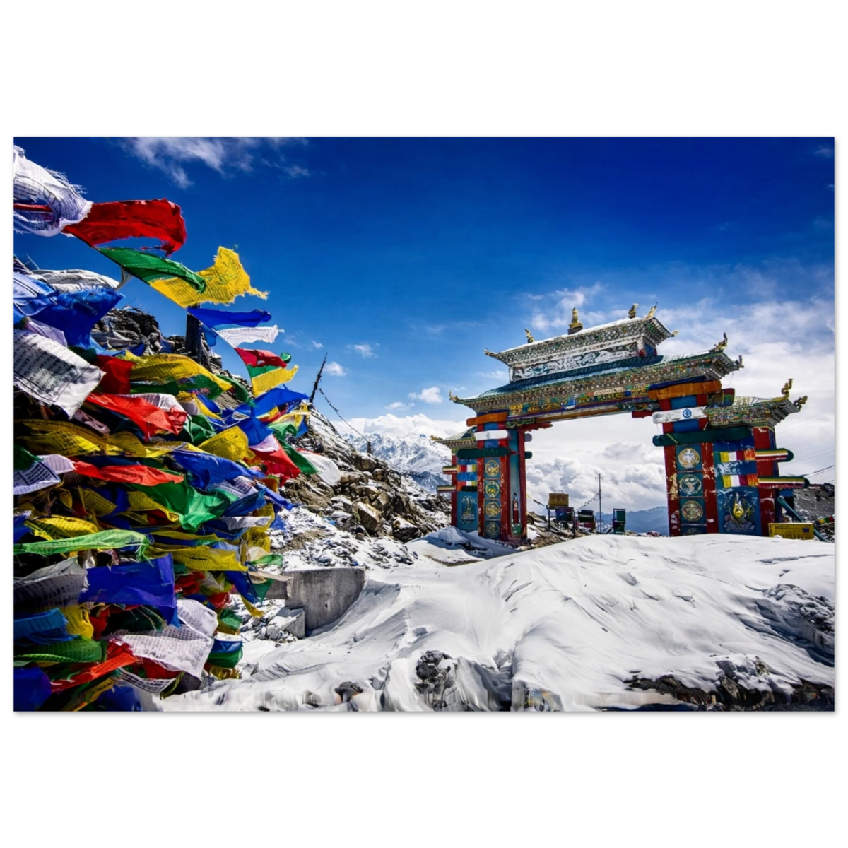 3c19eb32-78e4-445f-8361-7d36ab71053f