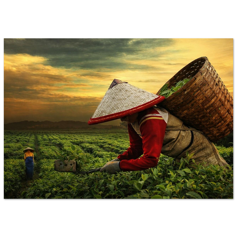 4492b29a-b51b-47ea-a73c-f5120bf4a2bc