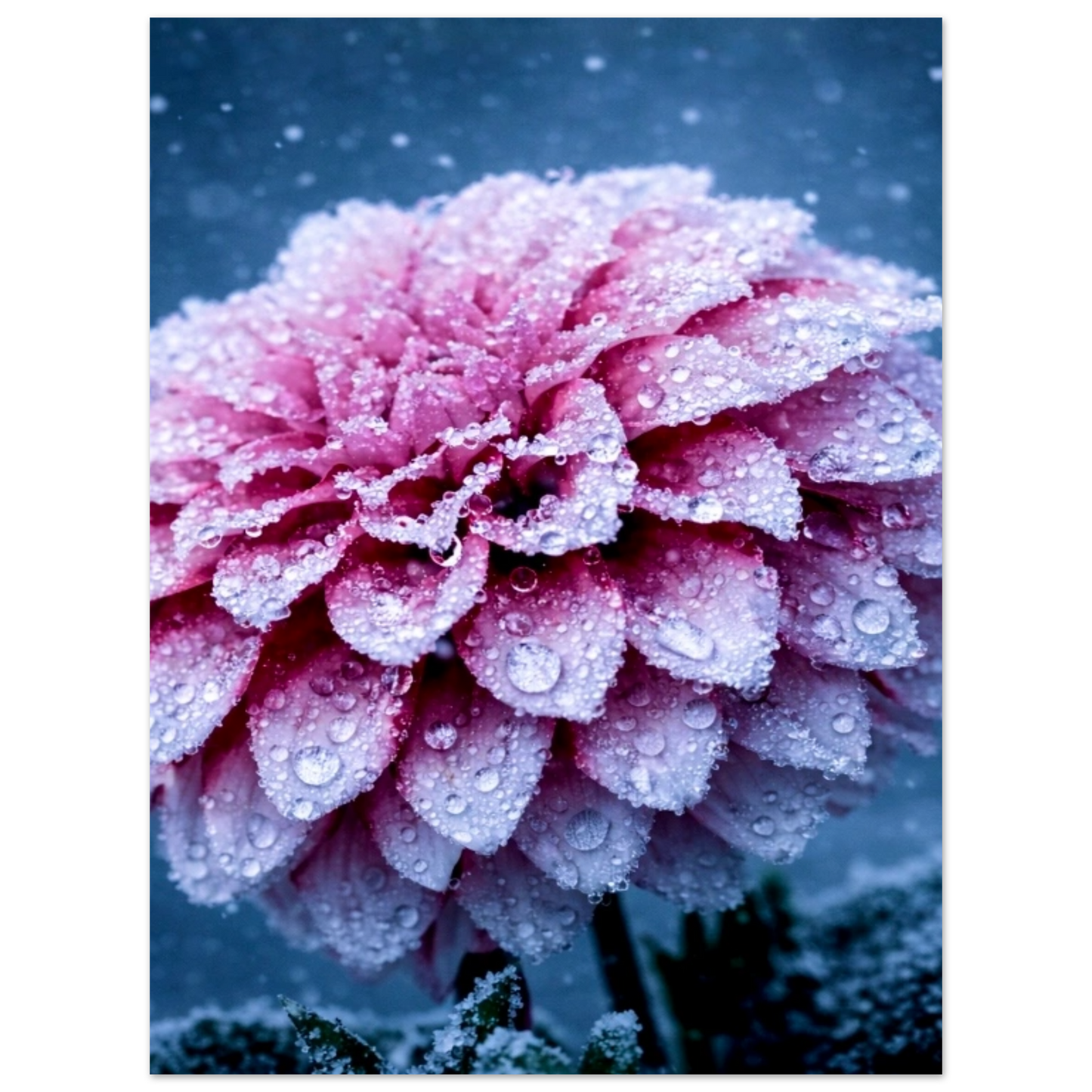 45e17781-f5f6-4764-bd37-20608e8f5517