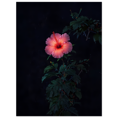 5939d1b0-882b-4814-8516-f41952671723