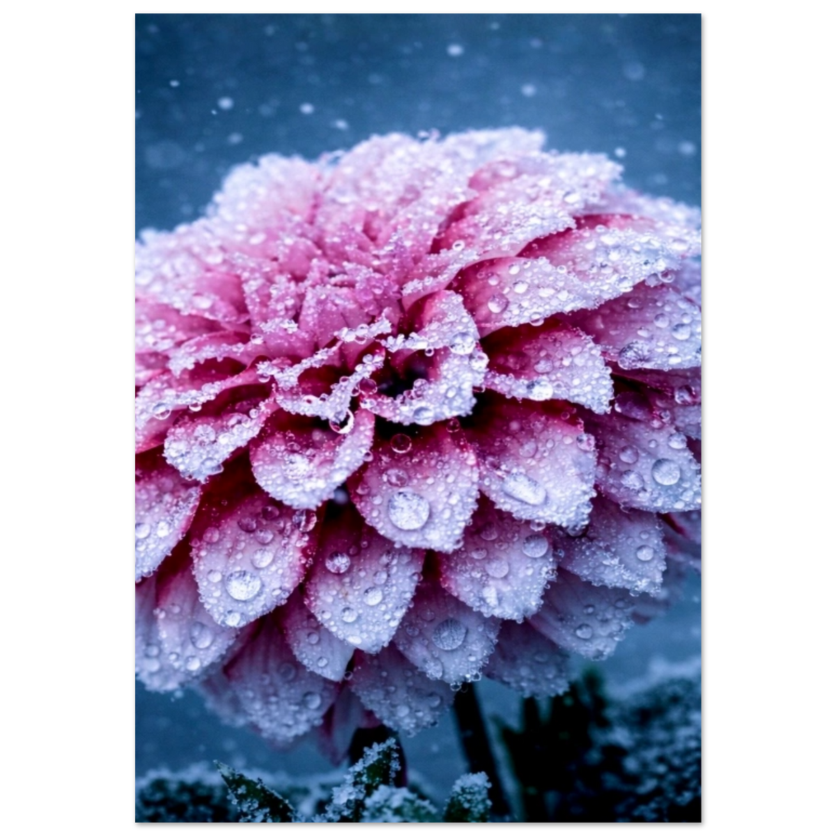 669b1591-774d-4d85-9340-d1eefa786dde