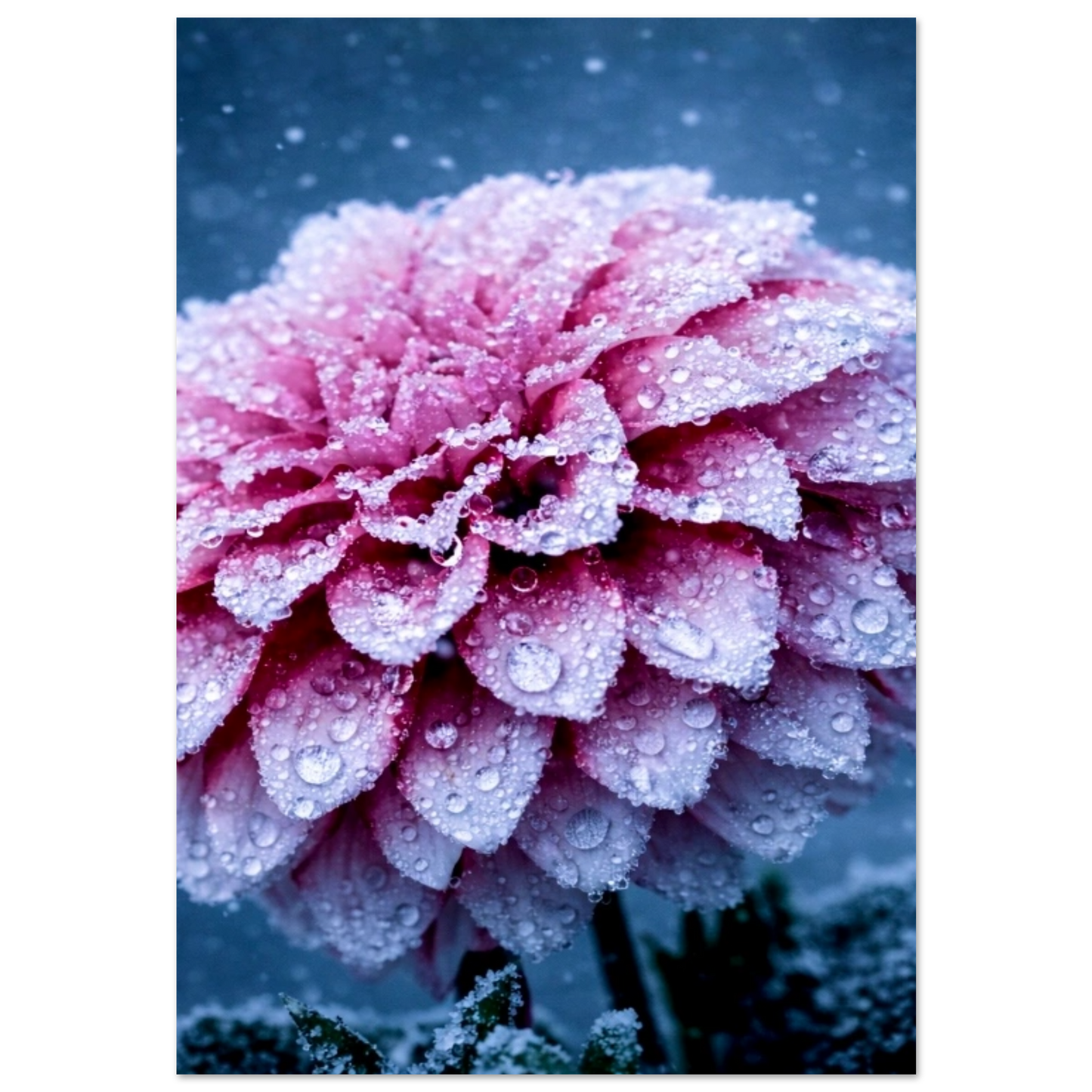 669b1591-774d-4d85-9340-d1eefa786dde