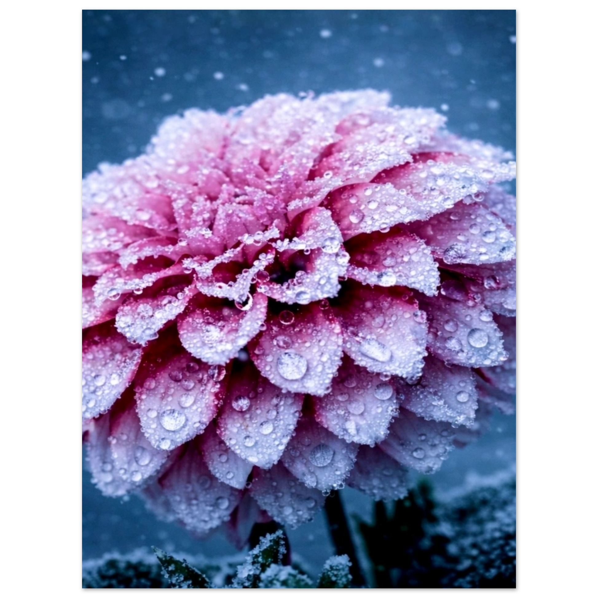 682ce8f6-f04f-49df-a6e0-f281b362097b