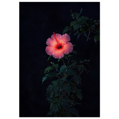 834f6582-e0b2-40cd-9a72-ab902b5beac1