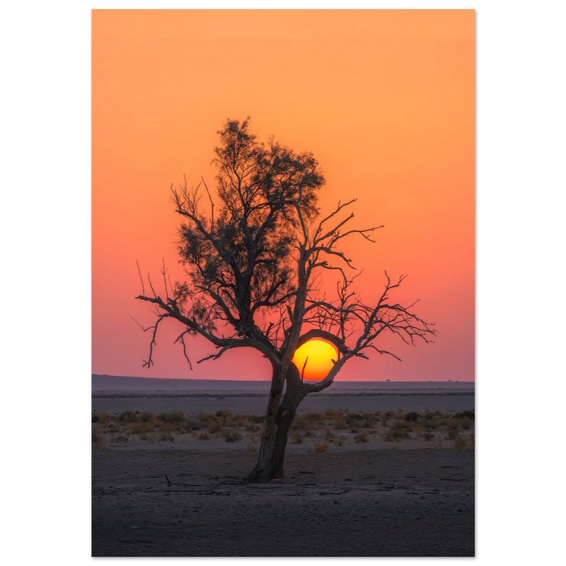 84358842-1f08-4619-a08f-c4eace25fd9b