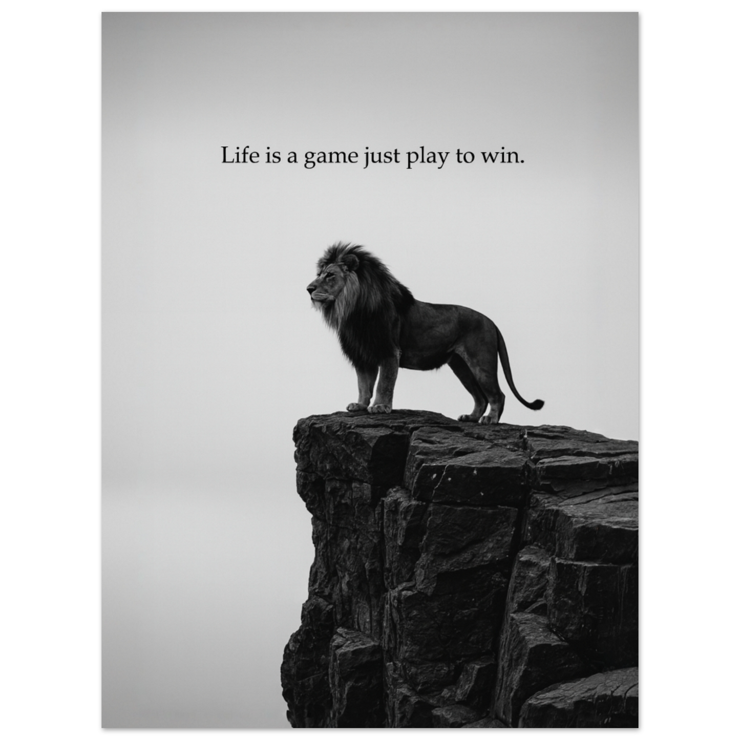 871a23b8-e6b9-4de8-a4bf-9c6d3f8cc309