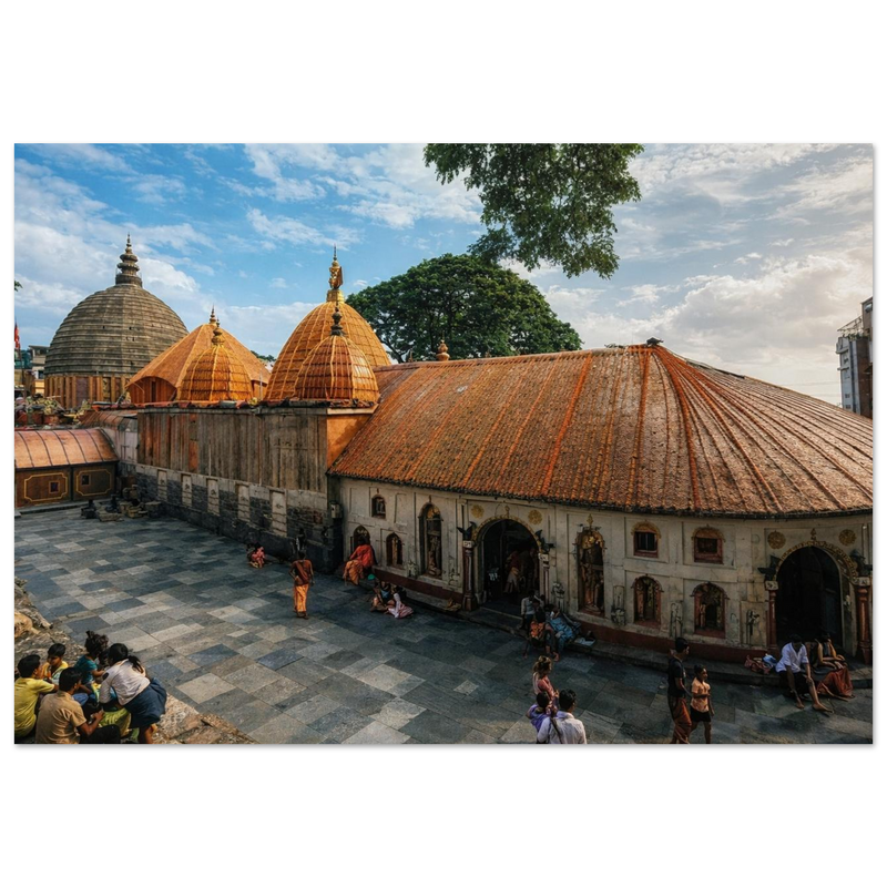 89d17444-636d-45e9-80ed-268bad4890b0