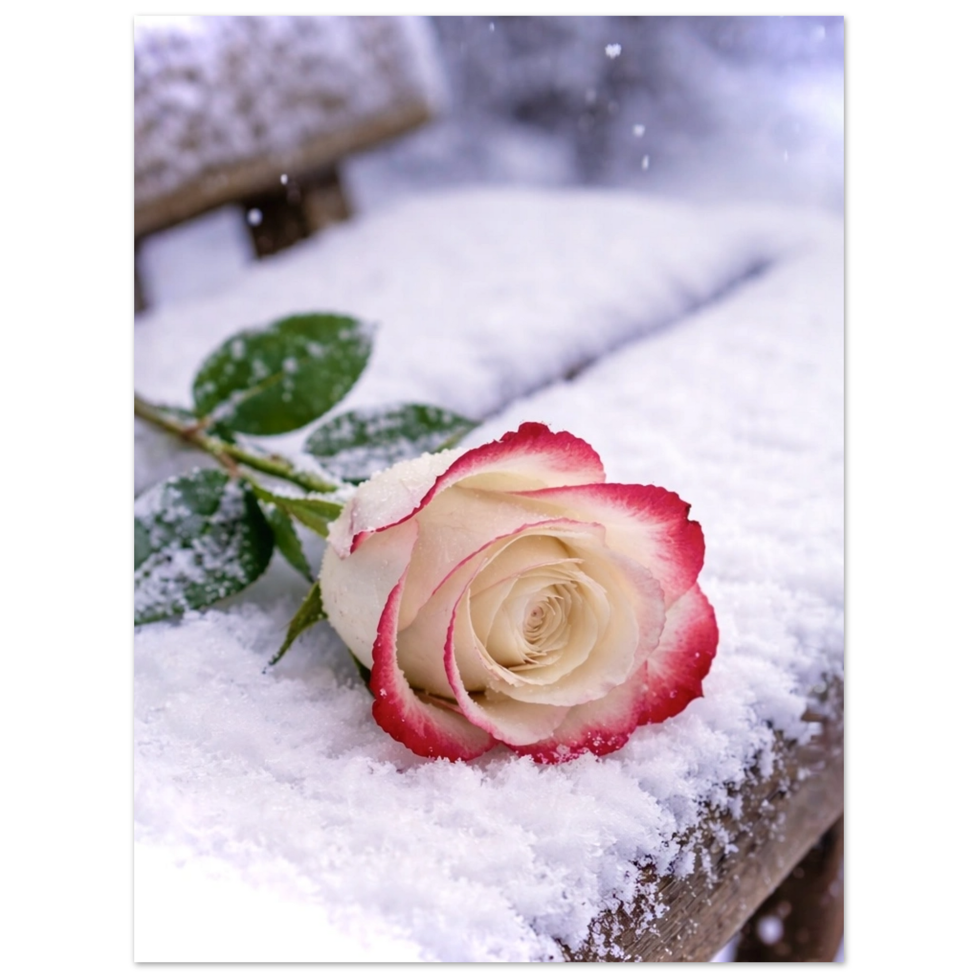 8b7aba89-accd-4a49-b622-b127c1481e8f