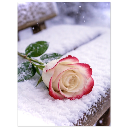 8b7aba89-accd-4a49-b622-b127c1481e8f