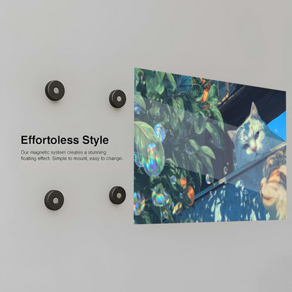 Feline Bubbles Glimpse - Installation Mockup