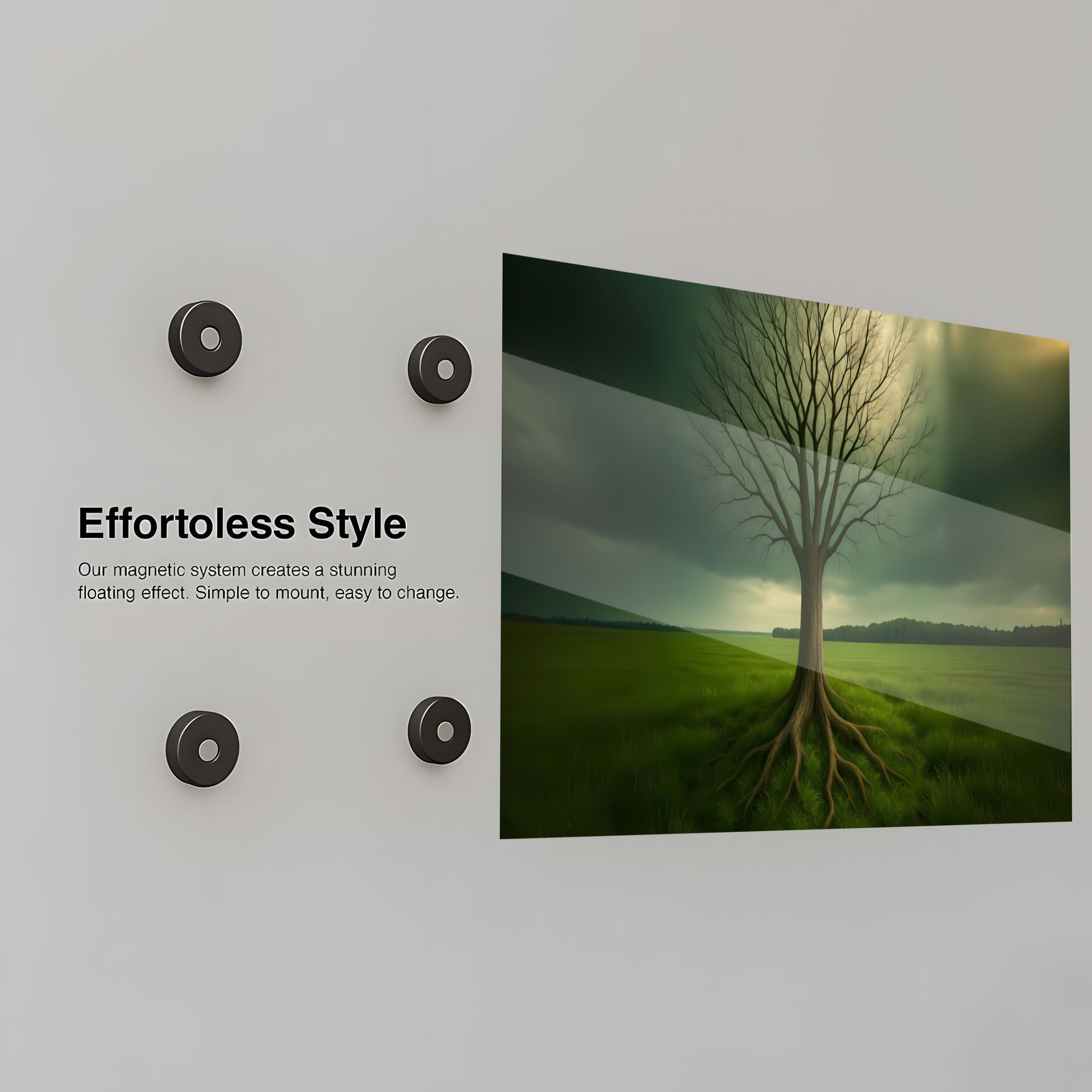 [Nature's Silent Wisdom] - Installation Mockup