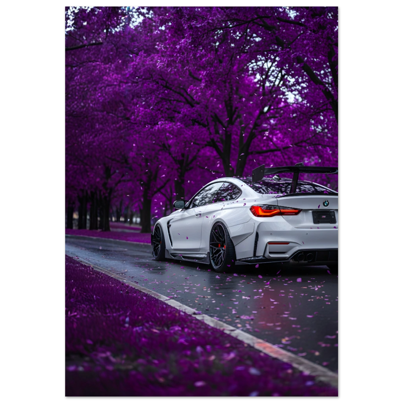 c1167391-a863-474d-a551-32f5f4098f5d