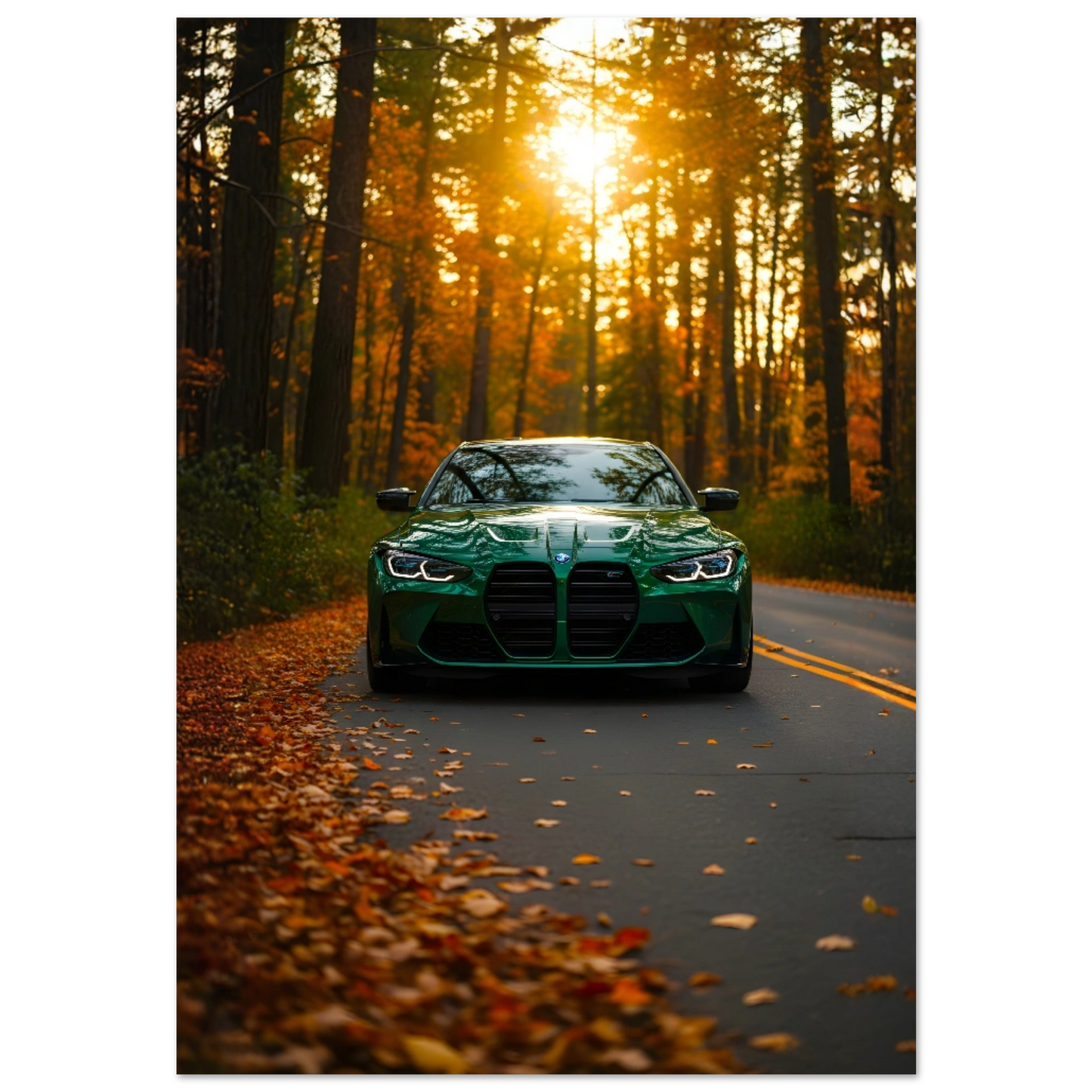 d995f79d-3ce5-453f-b80a-ea11fc2c8e53