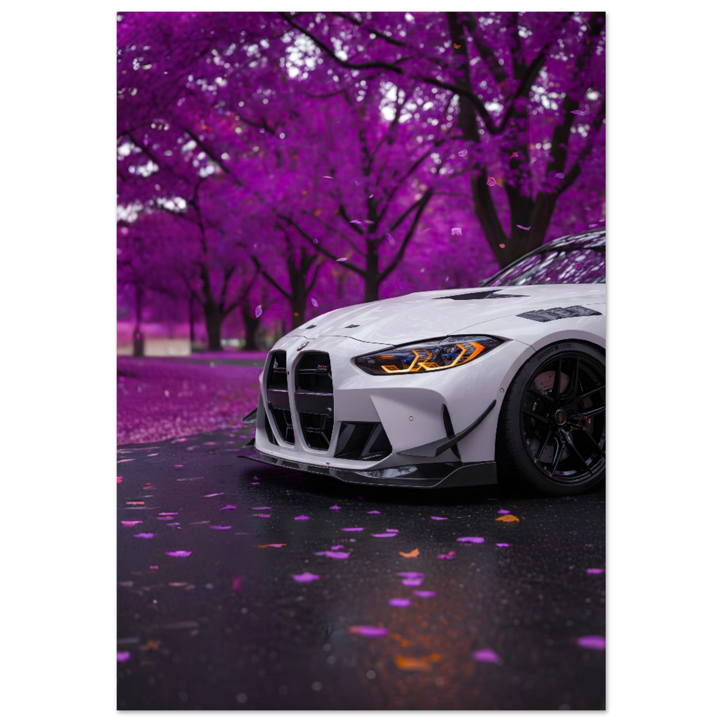 e44f5e11-100b-442e-a7f9-9a1a4bca935f