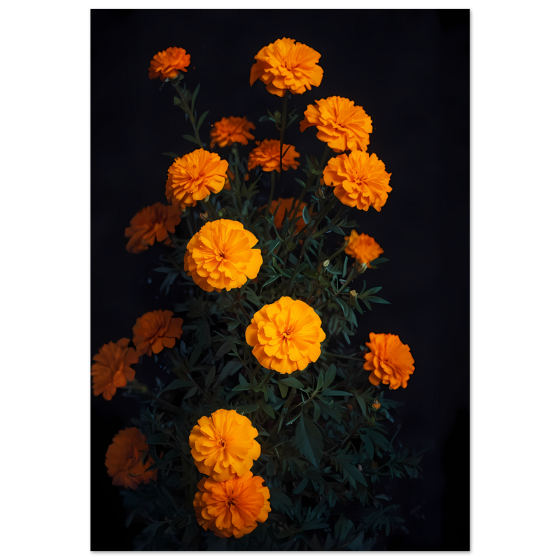 ed4bd579-12e8-4c26-b2d4-2b1261426324