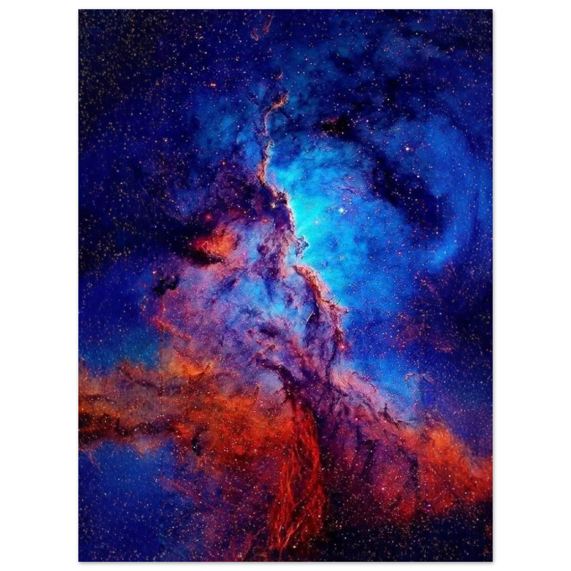 f2597998-6d4d-42e3-8866-aa923b99ece6