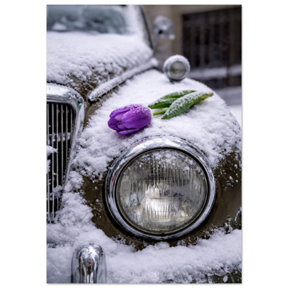 f2b892b4-d6f1-4399-9ff9-bbc4408b28ca