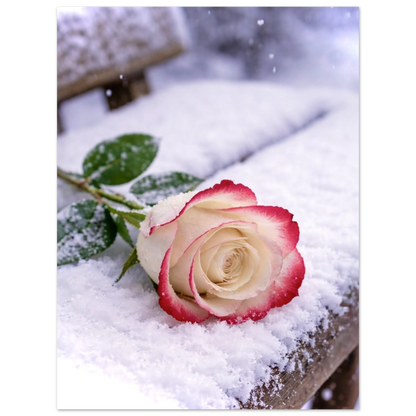 f3bcc08c-beb2-4d6e-9092-69569e8963be