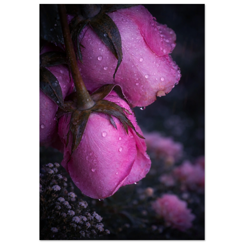 f40d51c9-937b-4ca3-9484-7bbdca16828c