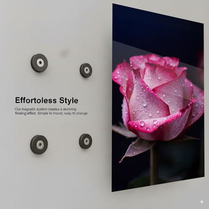 Dew Kissed Rose - Installation Mockup